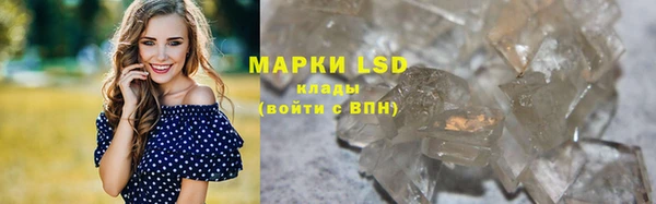 амф Алзамай