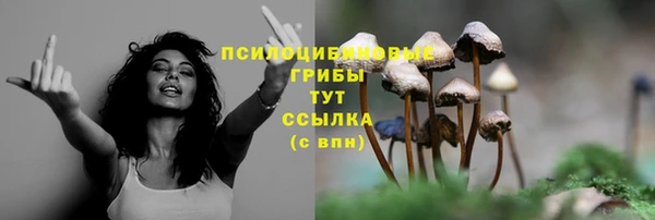 таблы Алексеевка